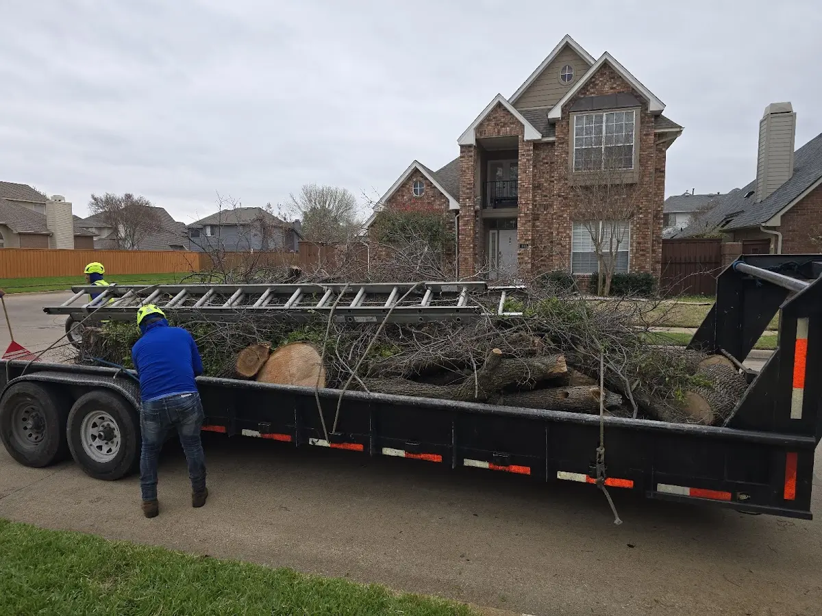 Expert Tree Pest Control with proper safety equipment in Wayne